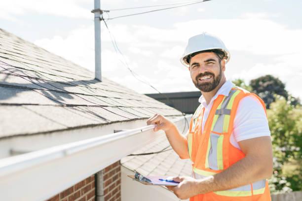 Best Roof Gutter Cleaning  in Sidy, NE