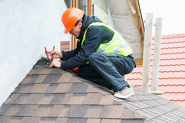 Best Roof Maintenance Services  in Sidy, NE